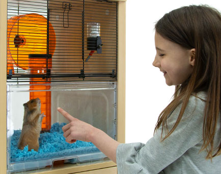 Pige kigger på en hamster i Qute buret