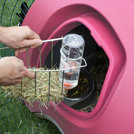 Removing the feeder and drinker from an Eglu rabbit house.