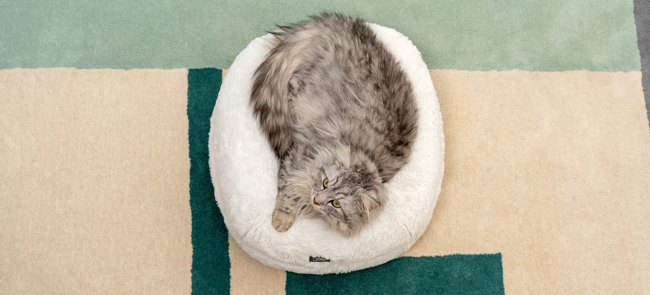 Un chat gris poilu qui se repose sur un lit pour chat Donut