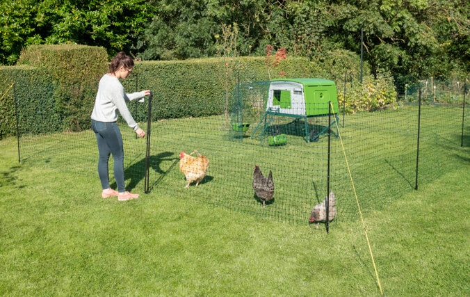 A stable style run door lets you top-up food and drink or let your chickens out to free-range