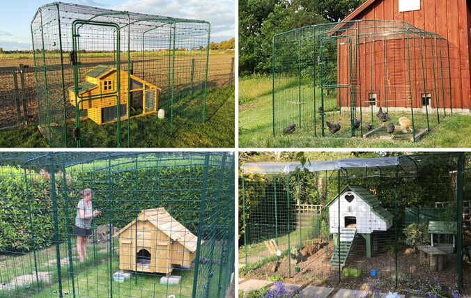 Wooden chicken coops with the Walk In Run.