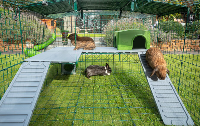 Dodatkowy poziom wzbogaci wybieg Twoich królików, zapewniając im zarówno ekscytujące zabawy, jak i relaks.
