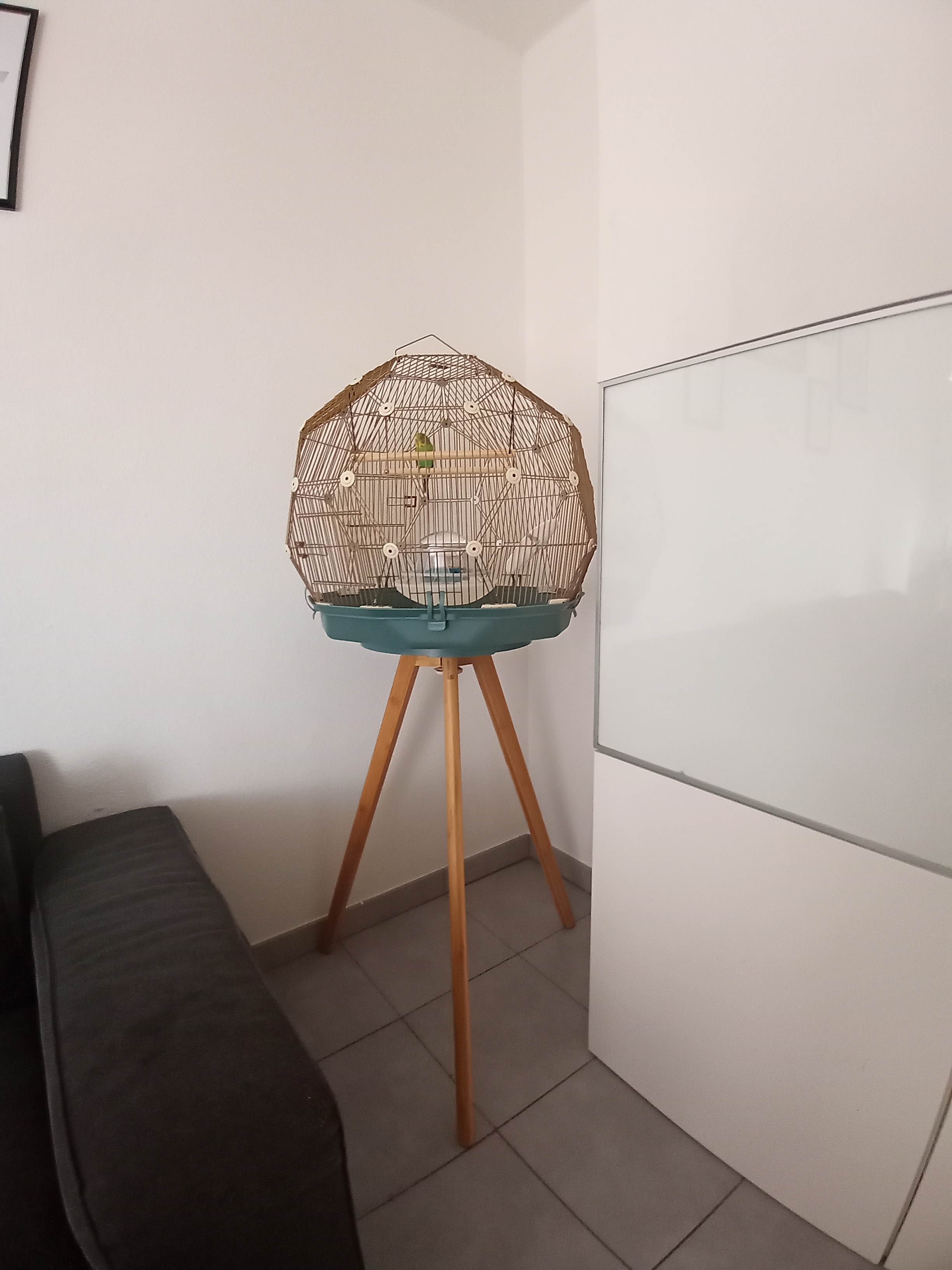 A teal and gold bird cage in the corner of a room