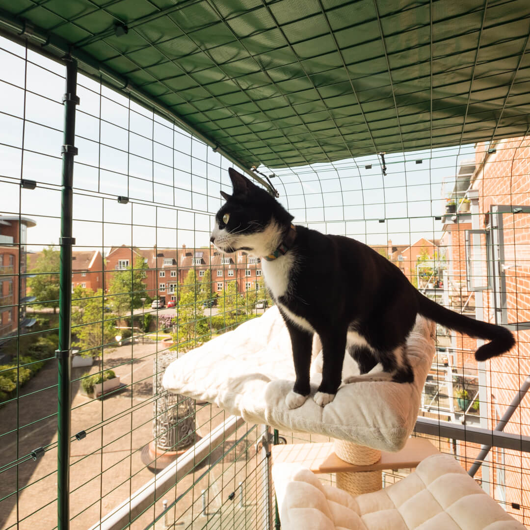 hat qui se détend sur un arbre à chat à l’intérieur d’un enclos de balcon pour chat sécurisé
