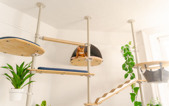 Un chat Bengal sur un arbre à chat avec des plantes d’intérieur