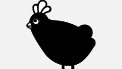 kippen veelgestelde vragen icoon