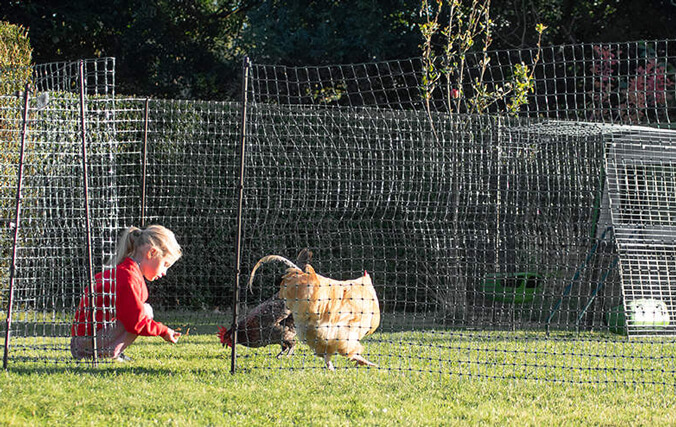 Bambini che giocano in giardino con le galline