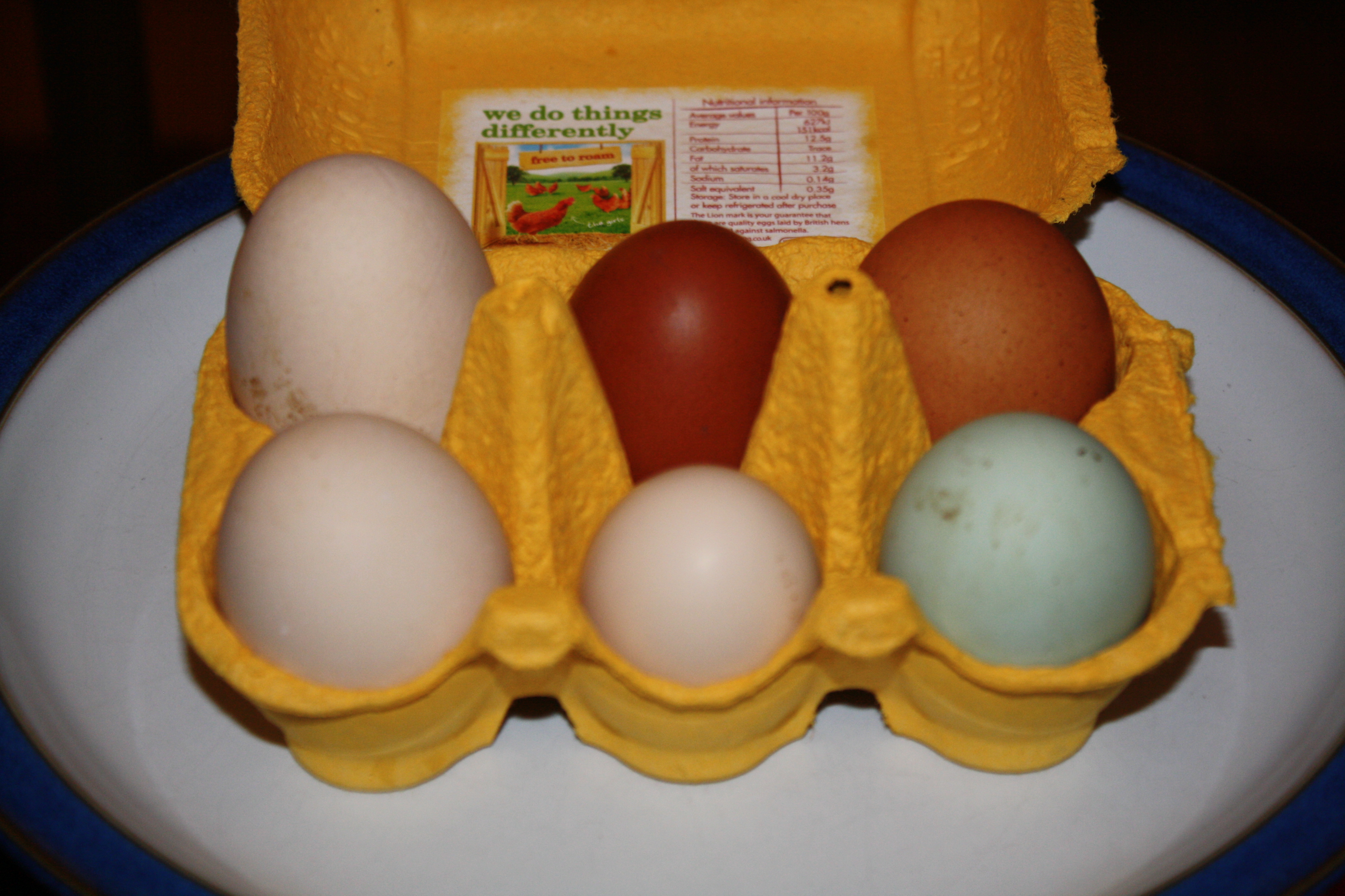 6 schöne Eier