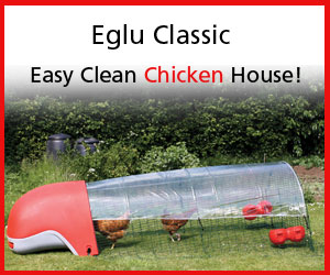 Easy Clean Chicken House!