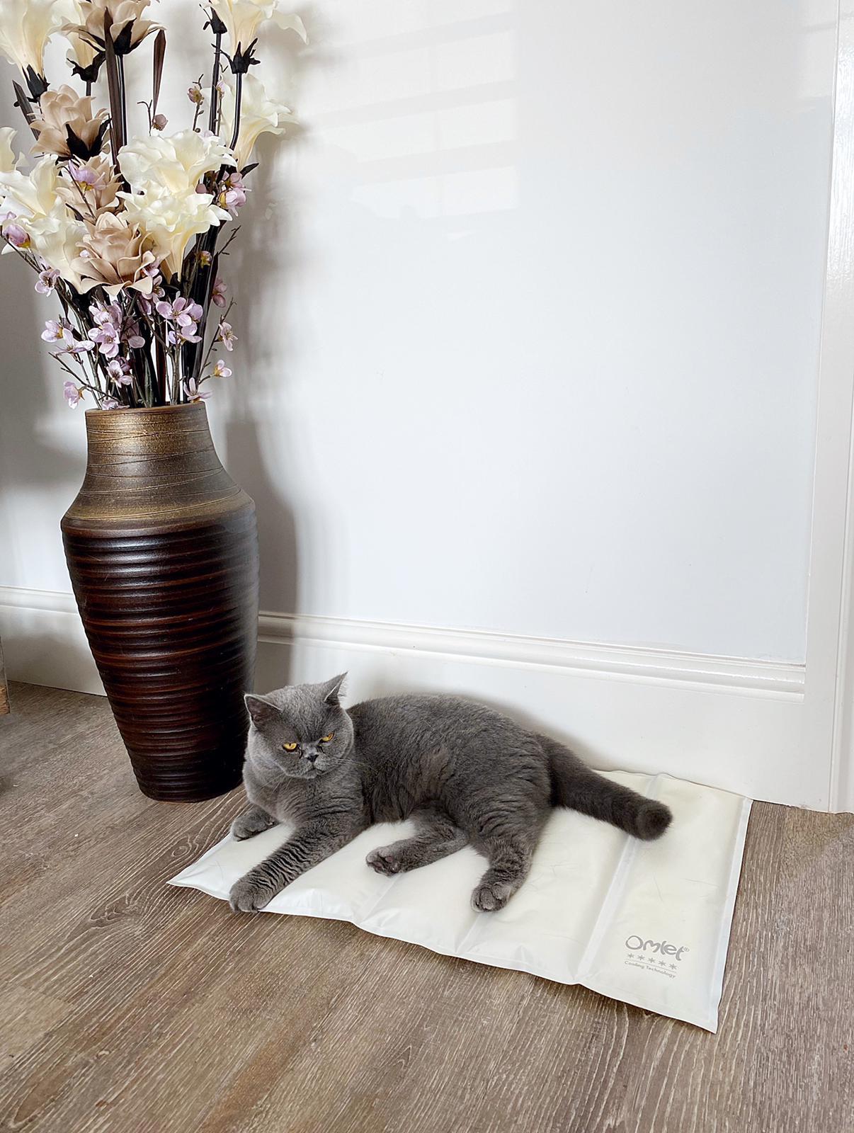 Un gato descansando en una alfombra de refrigeración.