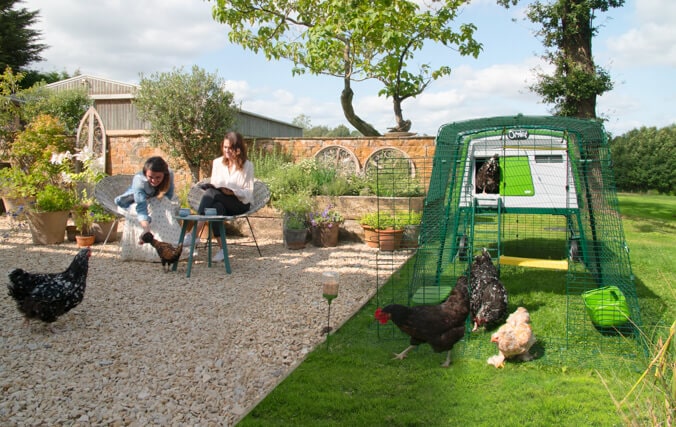 twee vrouwen lunchen samen in hun tuin en kippen scharrelen vrij rond in de buurt van hun Eglu Cube kippenhok