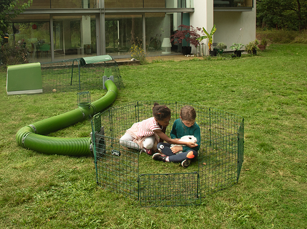 kids petting their guinea pigs inside the playpen which is securely attached to the hutch using a zippi tunnel