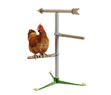 Freistehendes Hühnerstangensystem