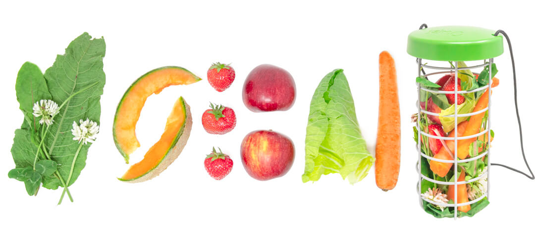Una selección de fruta y verdura fresca que son compatibles con el dispensador de comida para cobayas Caddi: fresas, manzanas, zanahorias y lechuga