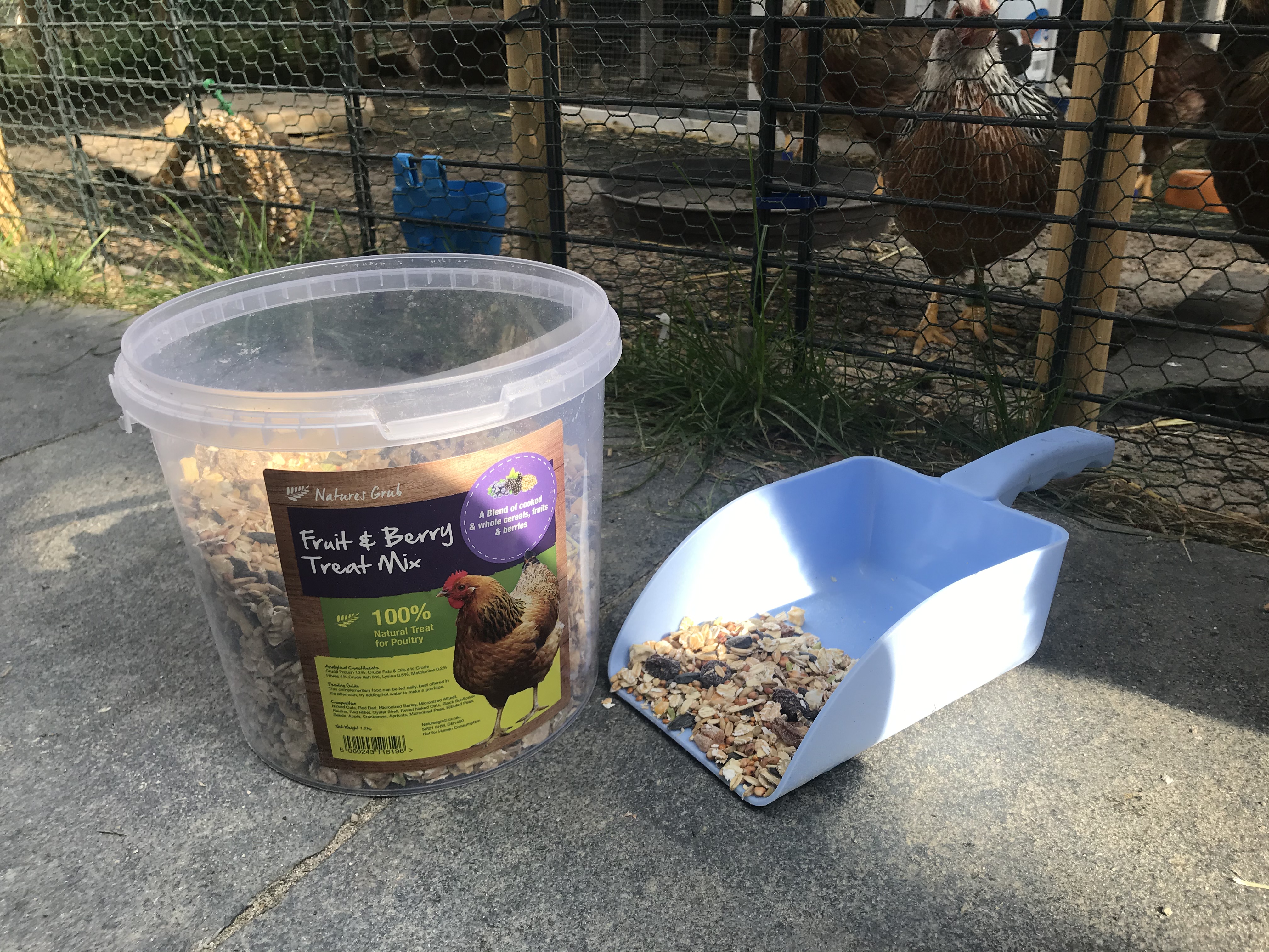 fruit and berry trail mix for chickens