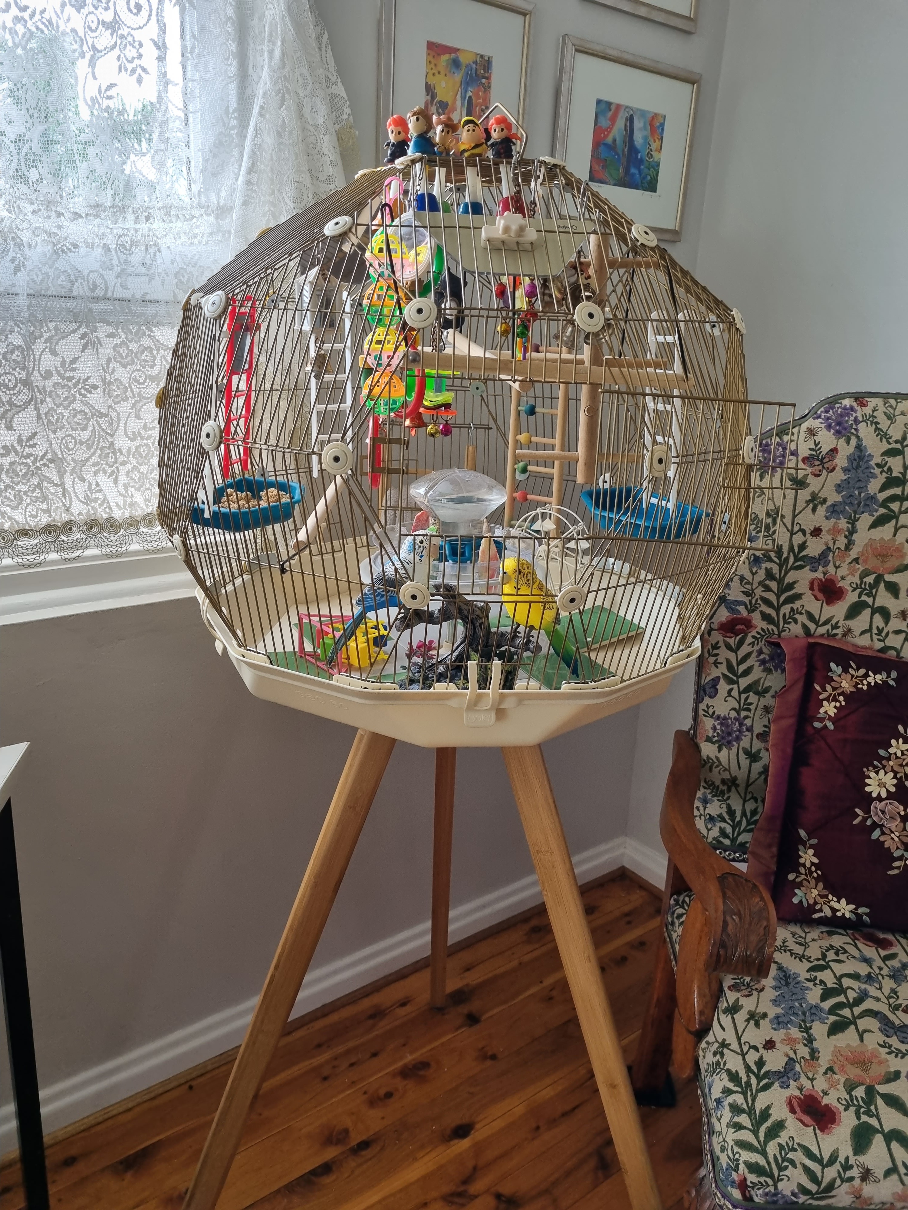 A bird cage with accessories in a room