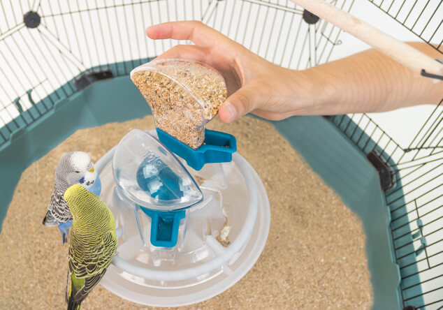 Geo Bird Cage feeder 