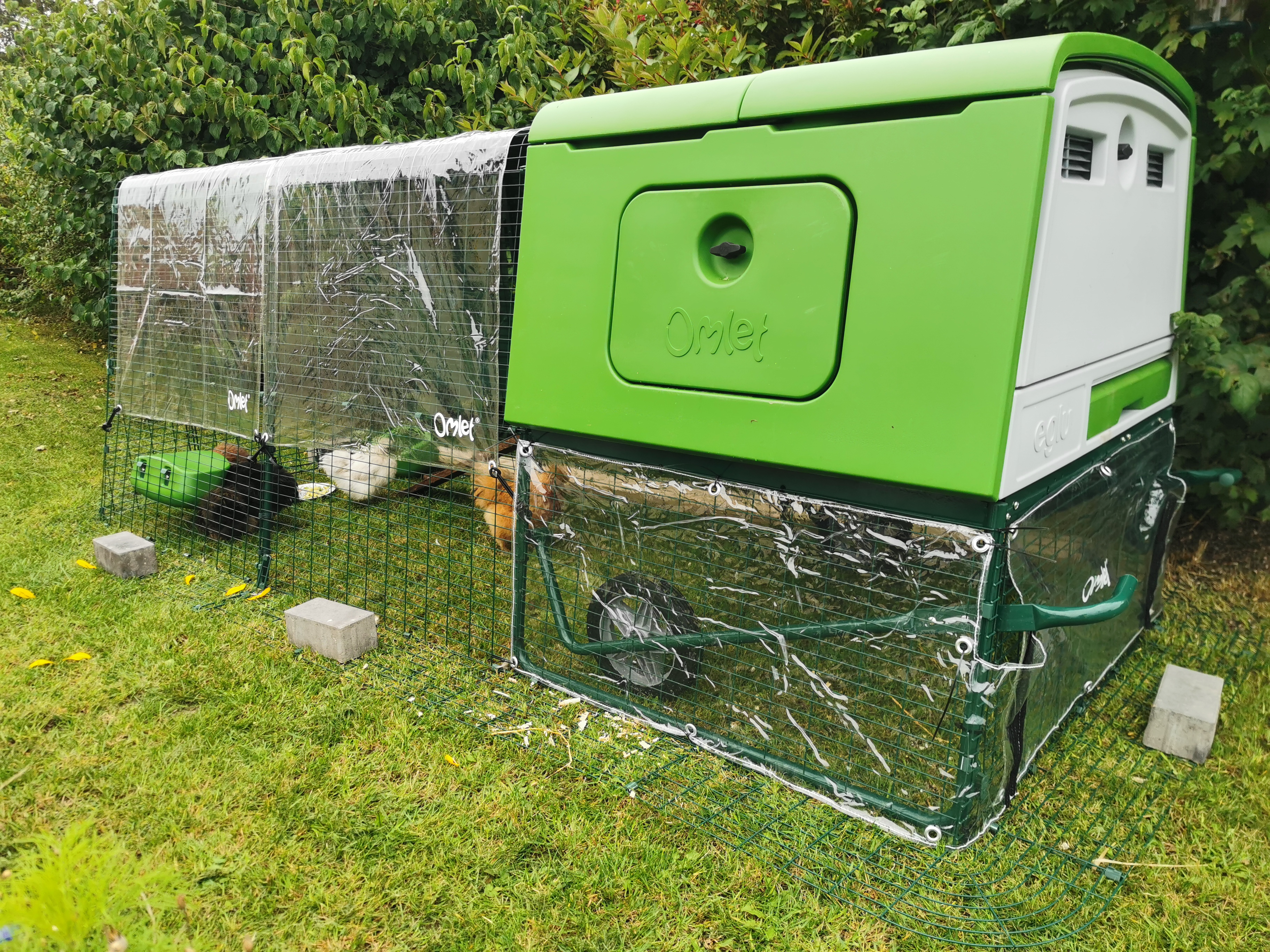 An Eglu Cube coop on grass with transparent covers on the top of its run and on the side