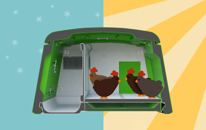 Flott i alt vær, holder hønene varme om vinteren og kjølig om sommeren.