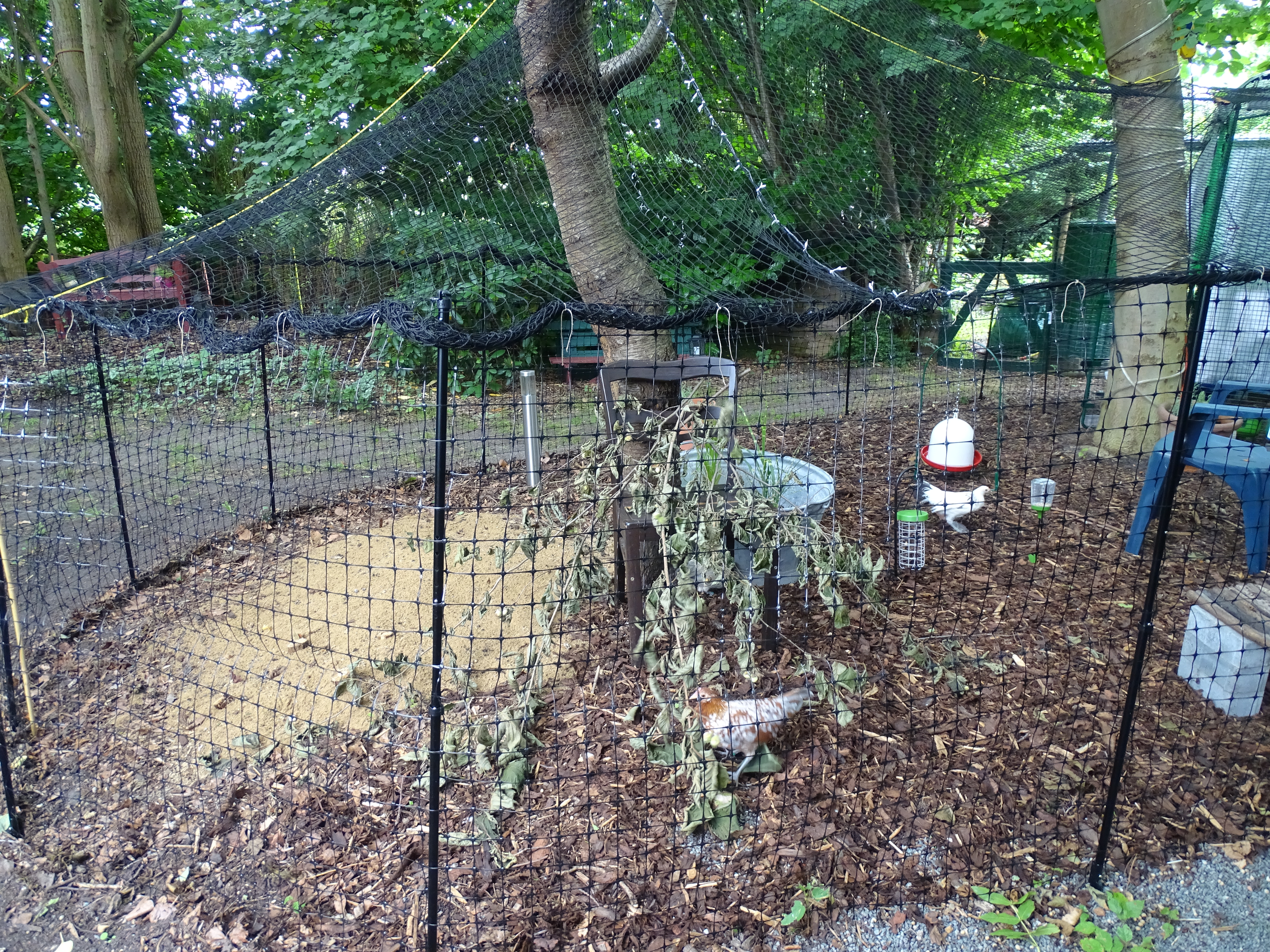 Omlet clôtures pour poules