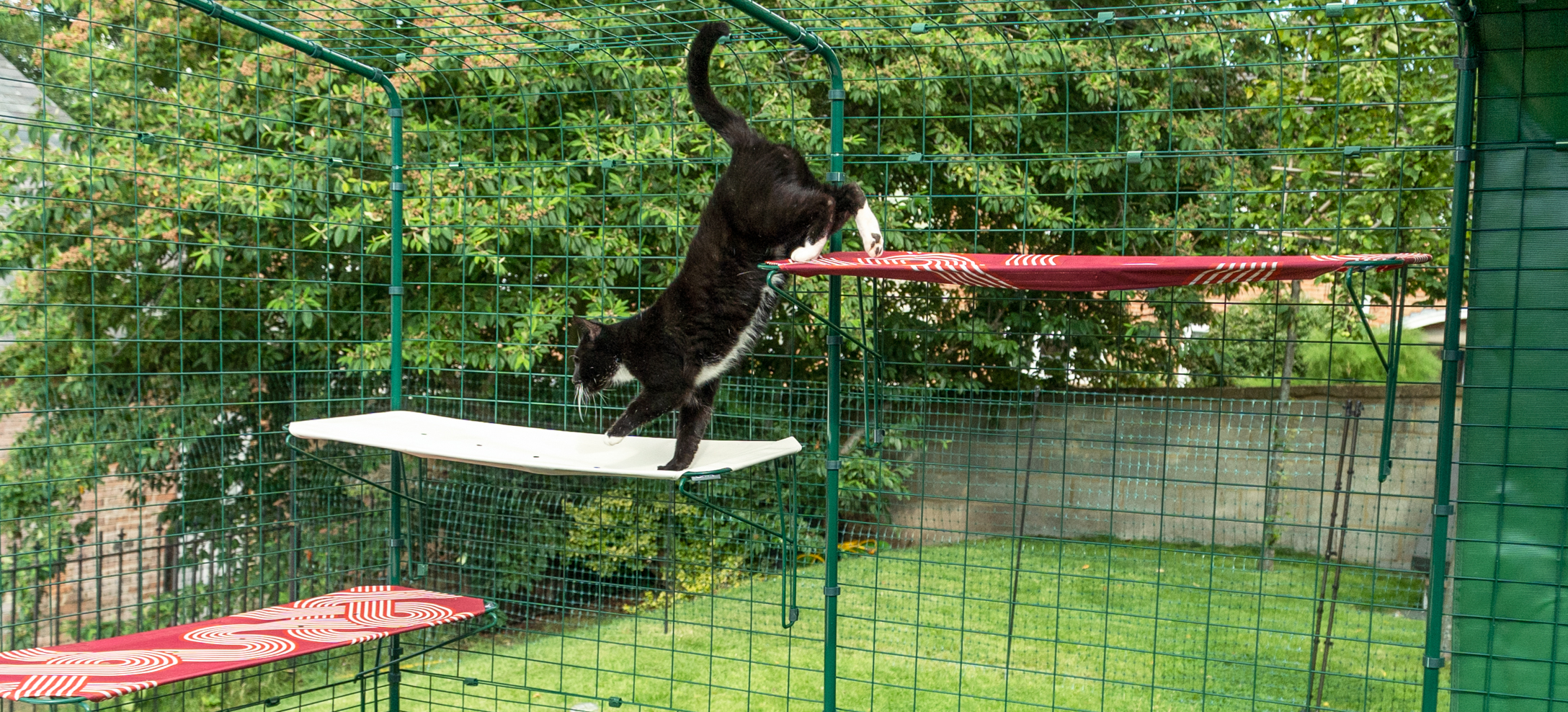 Kat klimt op Omlet stoffen Outdoor kattenplank in een kattenren voor buiten in de tuin