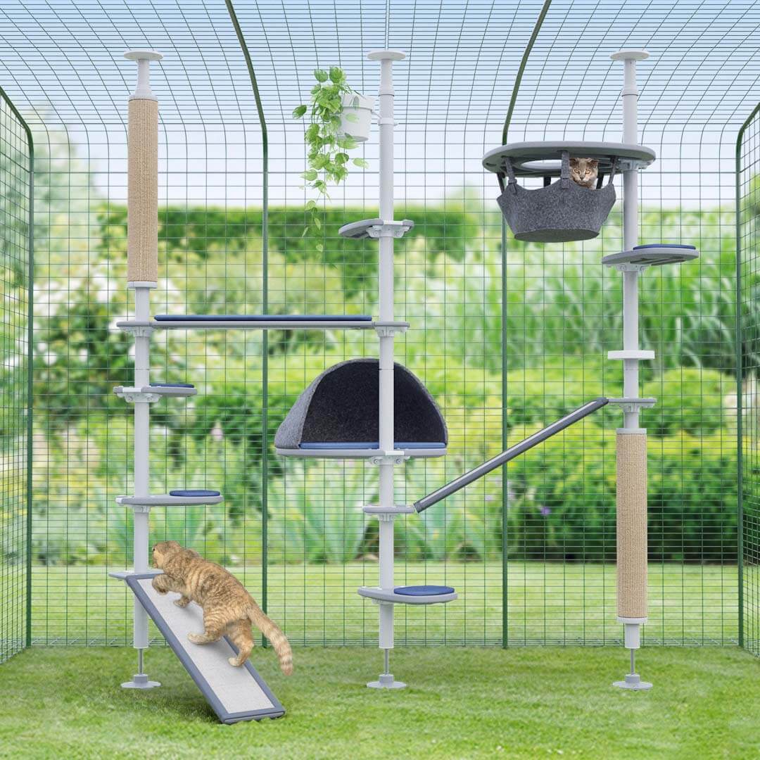 Completer Freestyle cat tree set up with accessories