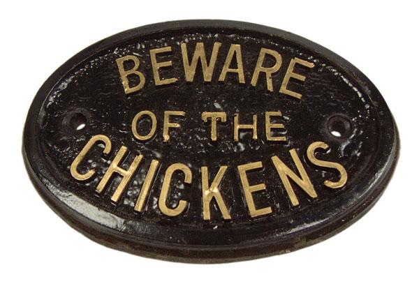 Cuidado con la placa de los pollos