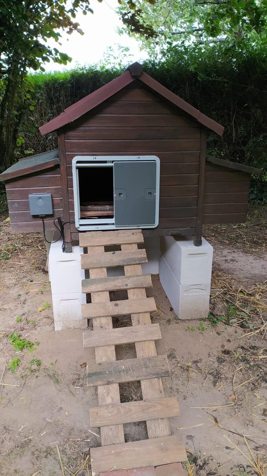 A grey automatic coop door fixed on a wooden coop