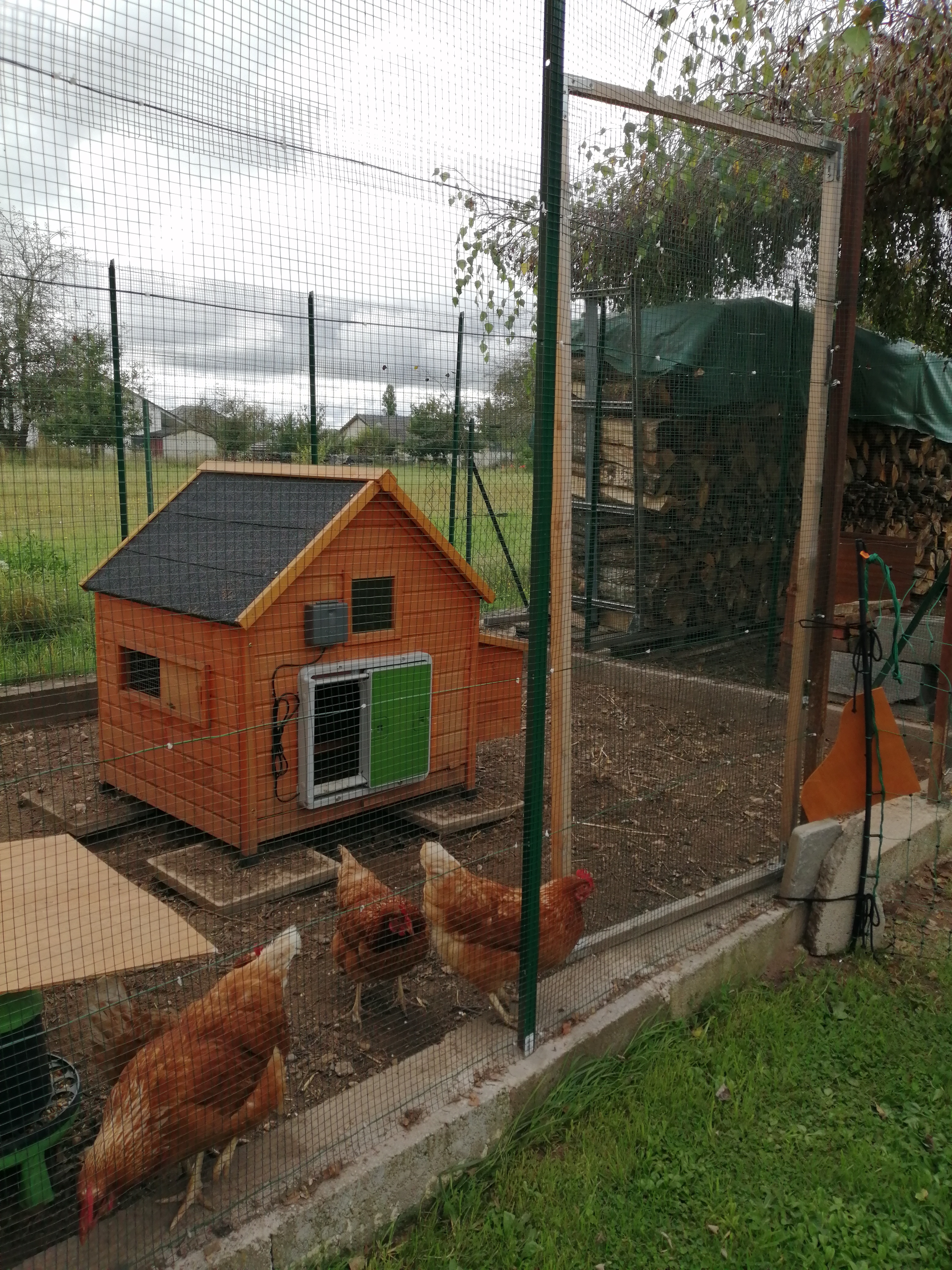 A green automatic chicken coop opener on a small coop