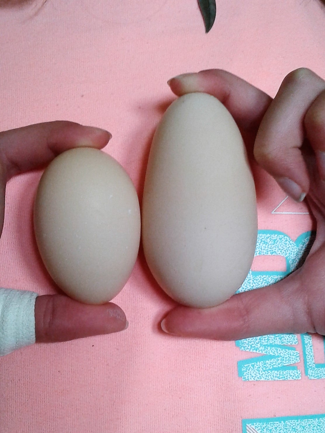 Eier vergleichen