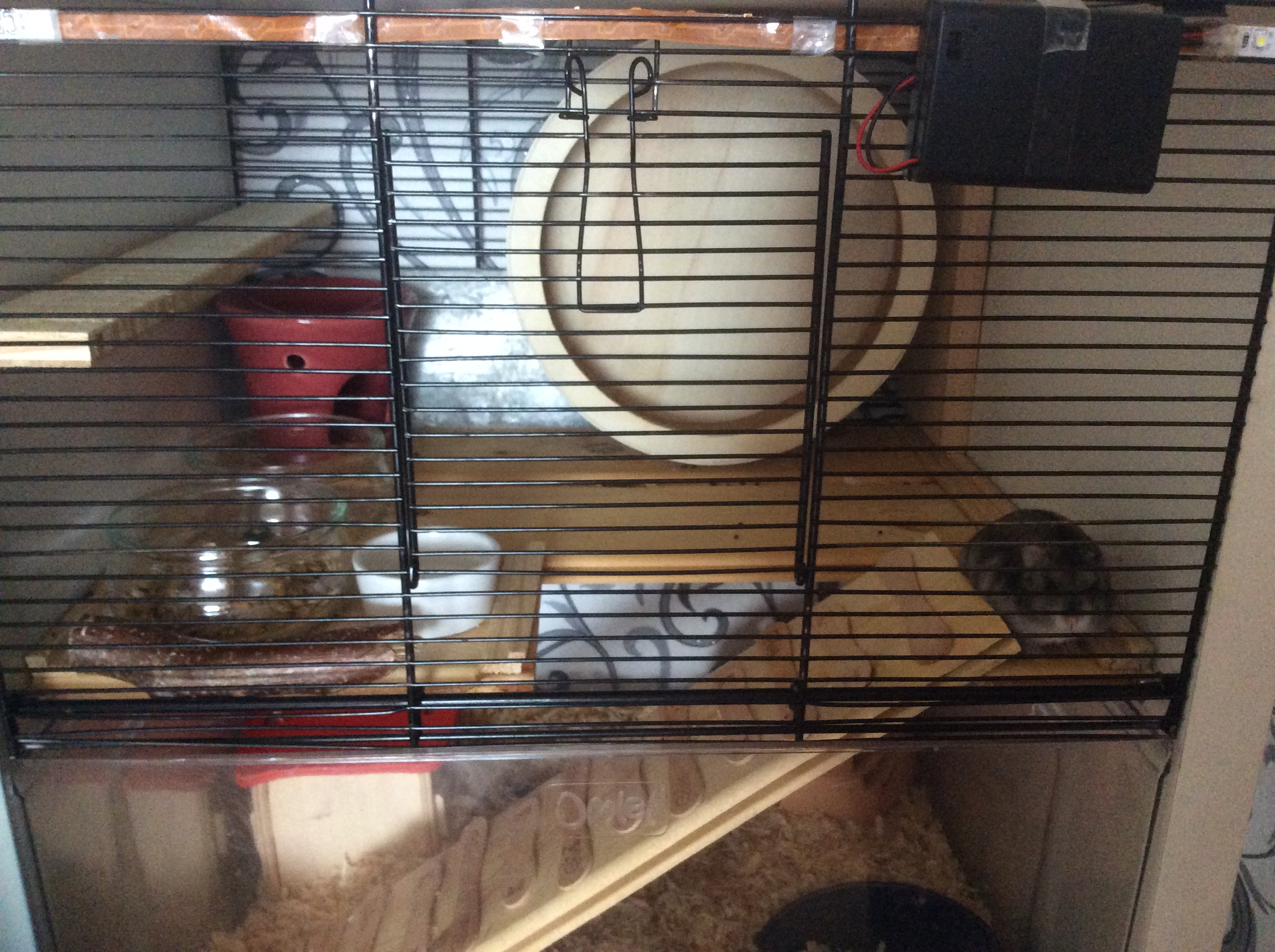 Een kleine bruine hamster in een kooi van Qute met houten accessoires erin