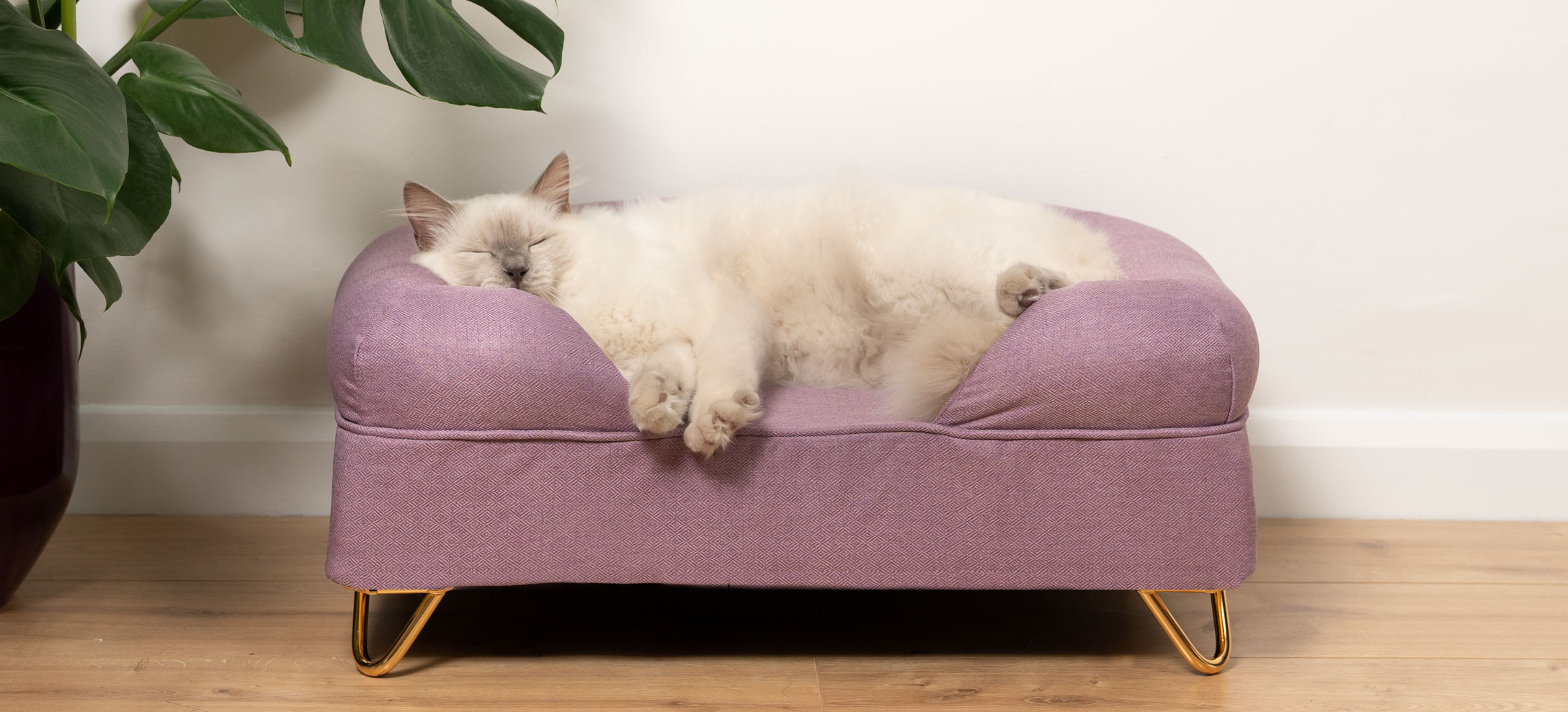 A white ragdoll cat sleeping on a lavender bolster cat bed
