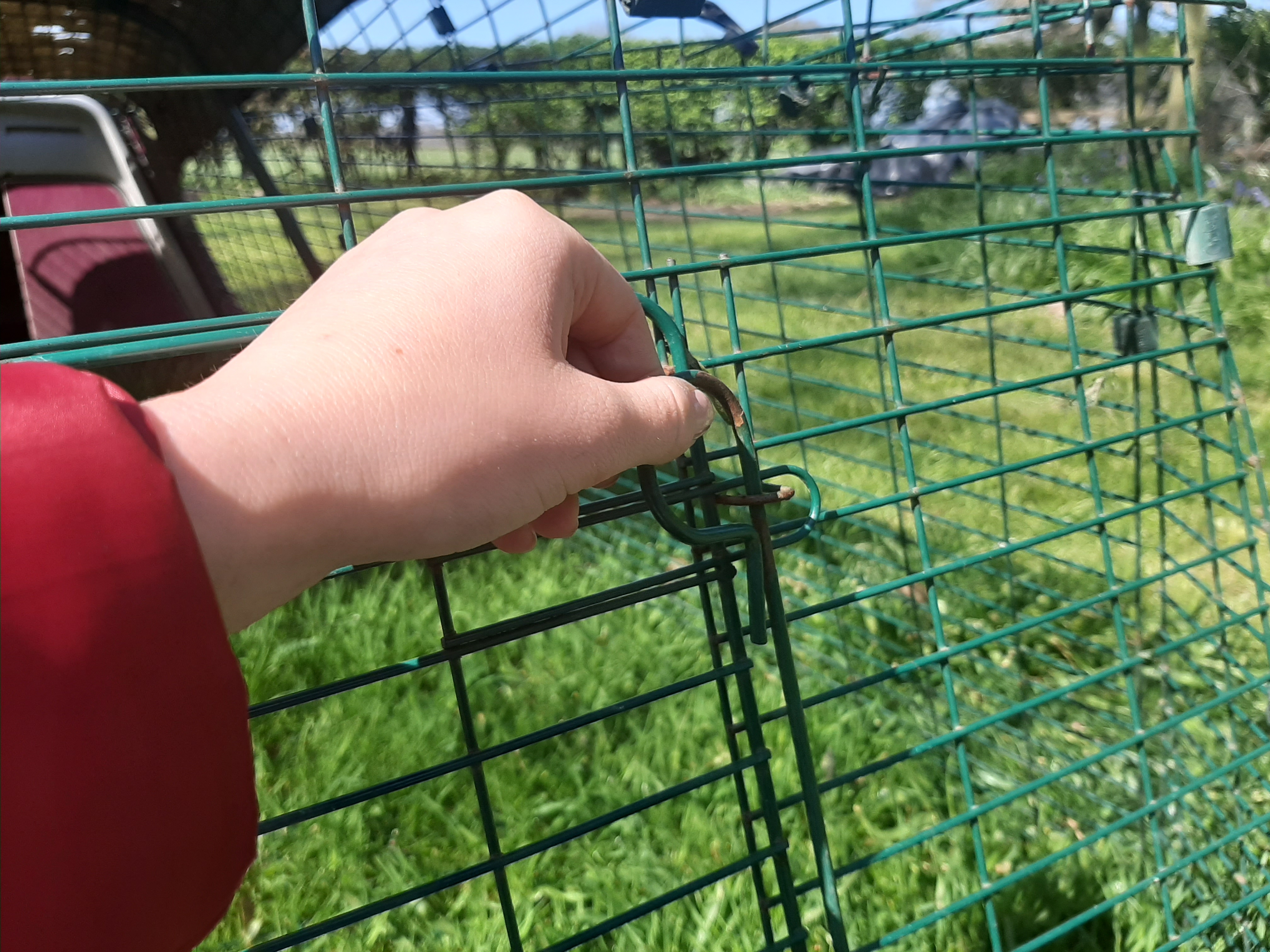 Secure the cage.or use it to let your furry pets play in the garden.