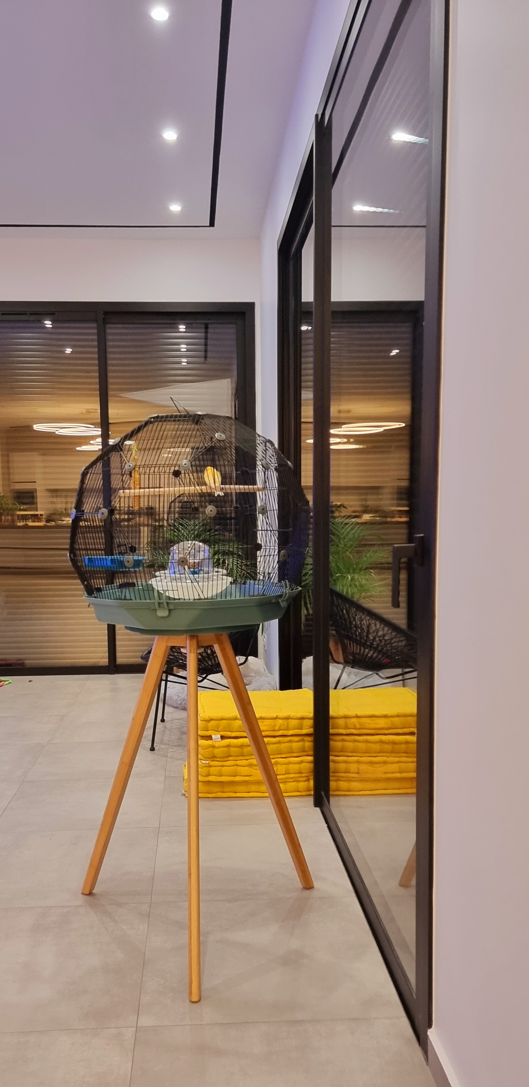 A blue and black geo cage with stand in a room