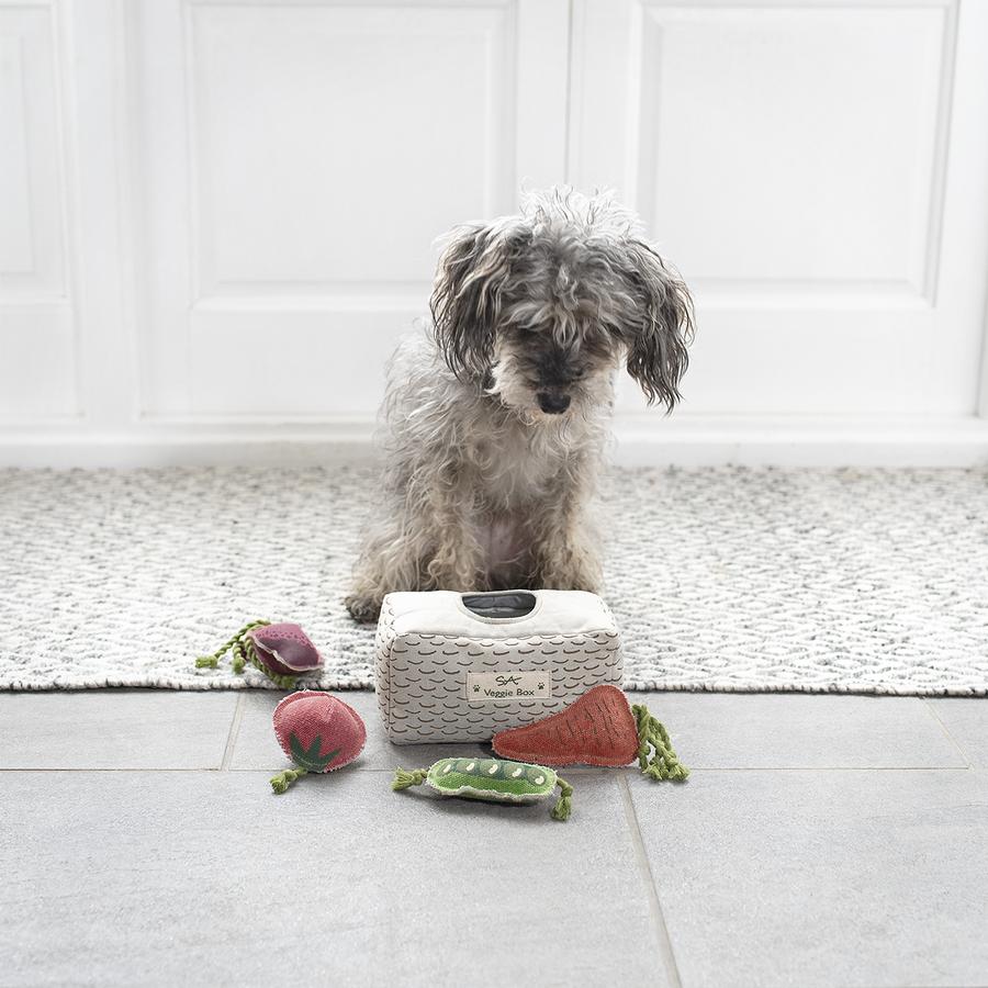 Un perro mirando un montón de juguetes con forma de verdura