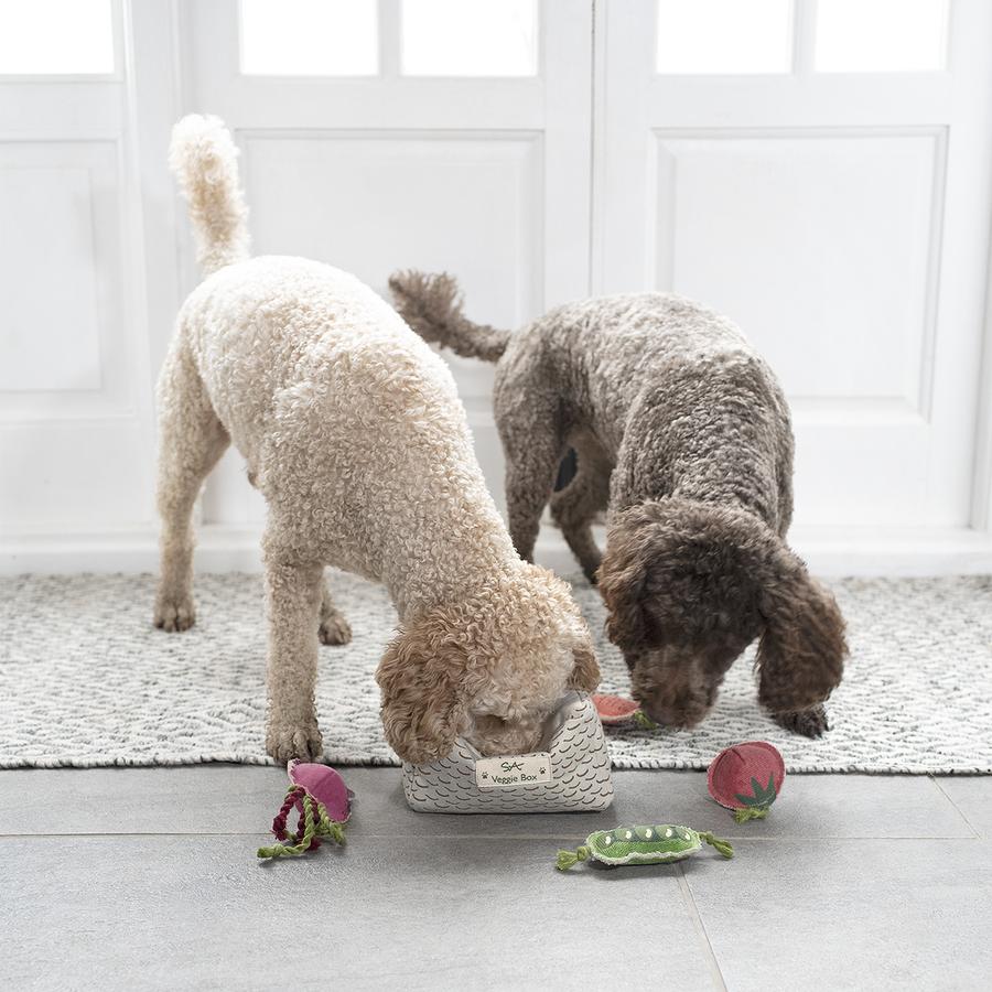 Dos perros jugando con juguetes con forma de fruta y verdura