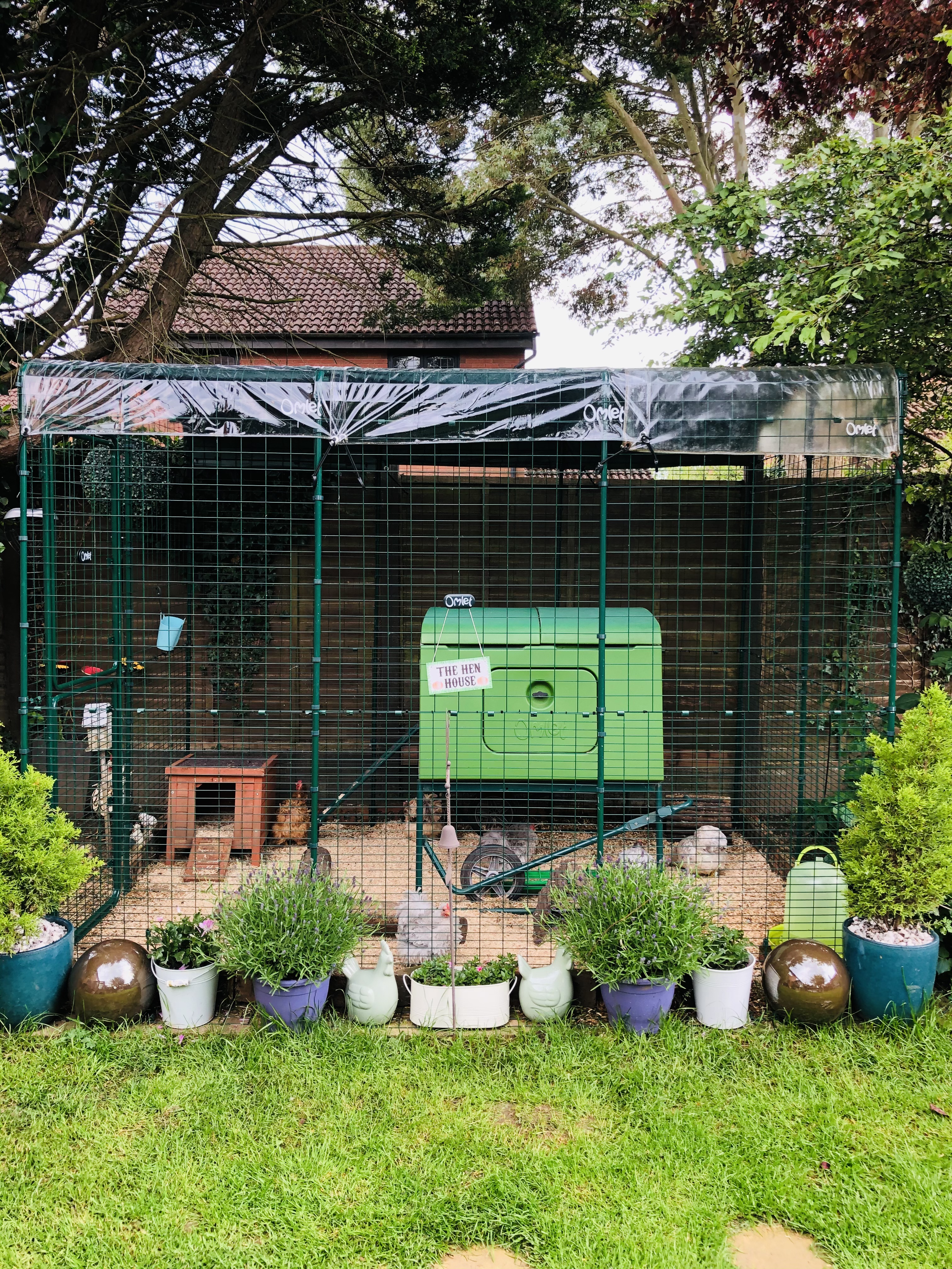 Walk in chicken run  with a coop inside, surrounded by flower pots