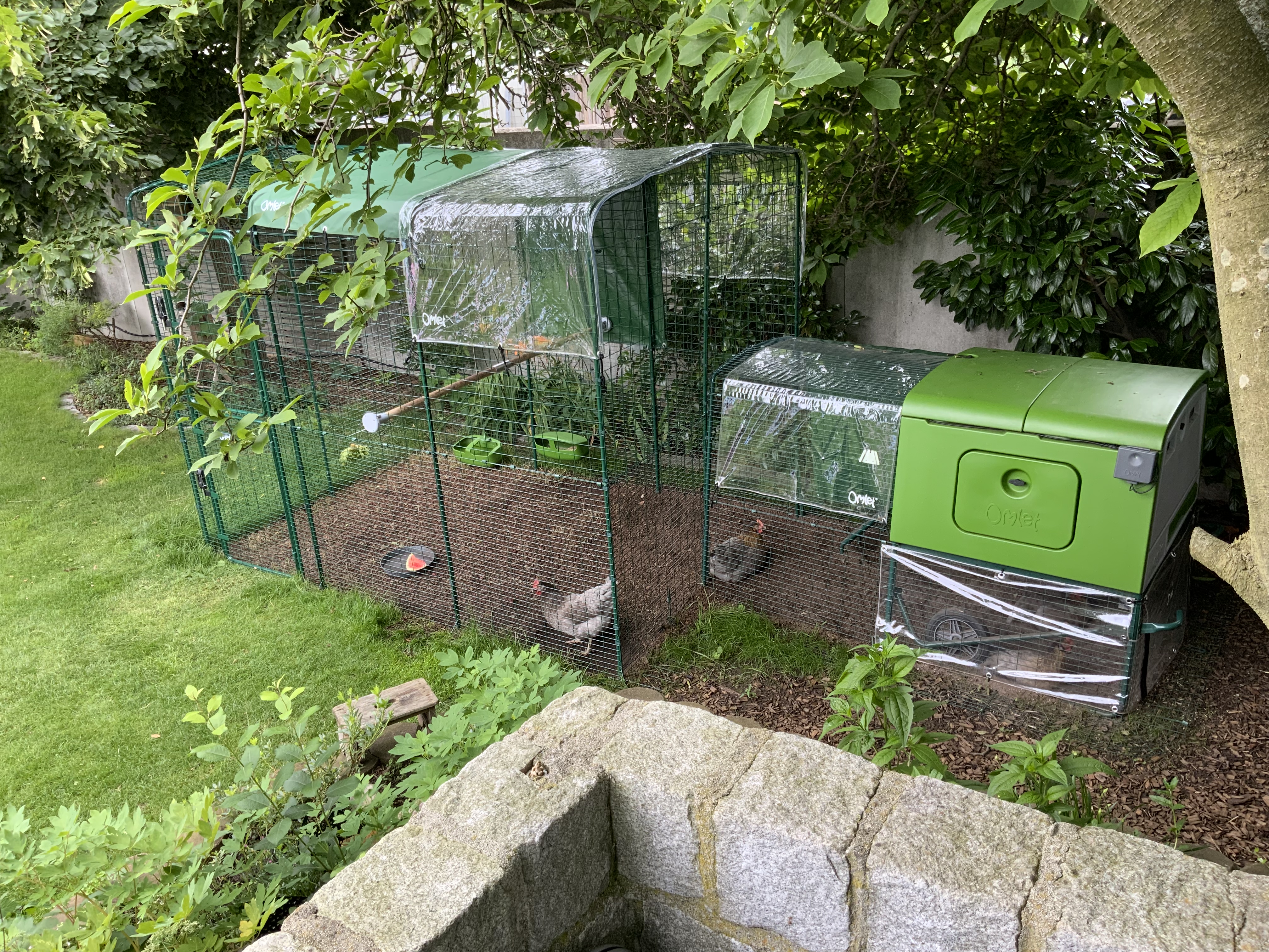 A view from above of a green chicken coop connected to a large run