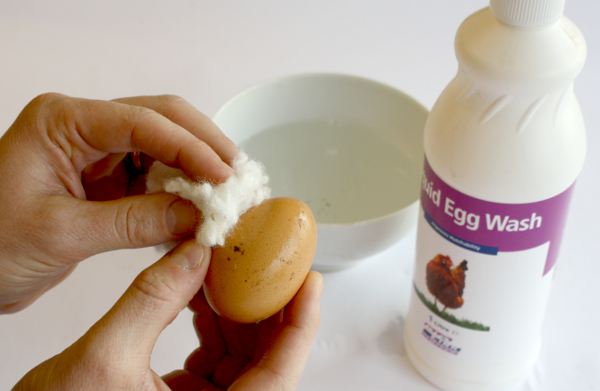 You should clean your egg using egg wash.