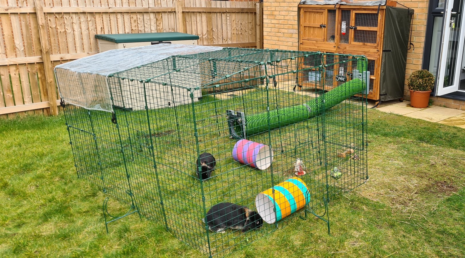 A rabbit enclosure connected to a hutch with a tunnel